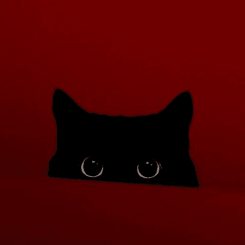 Developer Avatar
