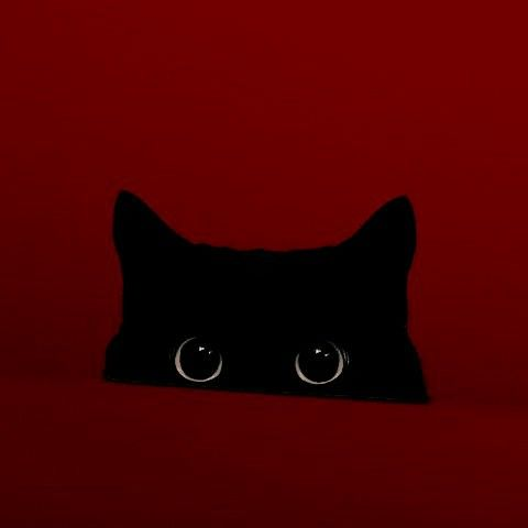 @l.u.a.u avatar